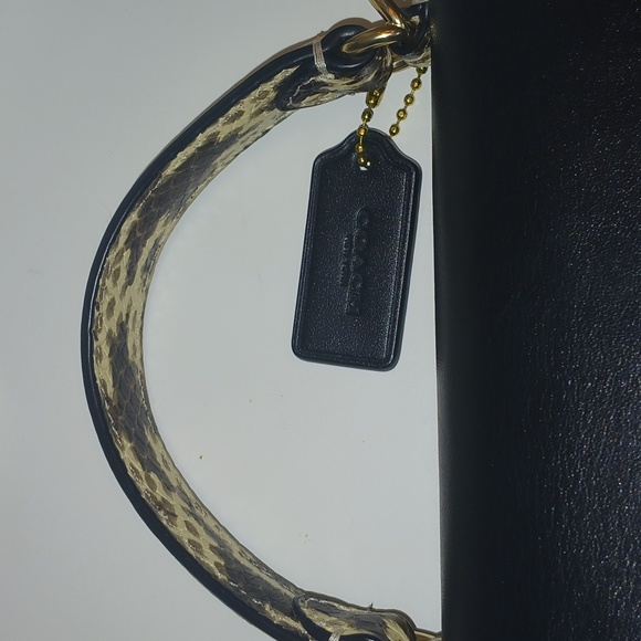 Coach Pepper - Picture 15 of 16